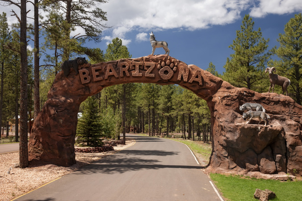 Bearizona