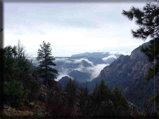 Oak Creek Canyon 