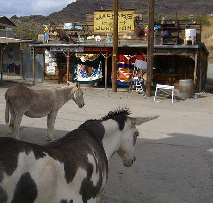Oatman