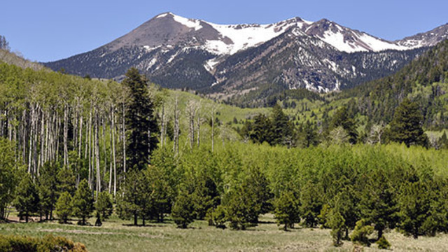 The San Francisco Peaks