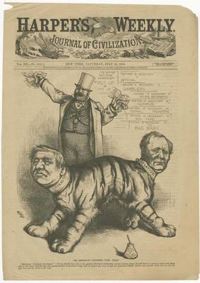 The Democratic Tiger