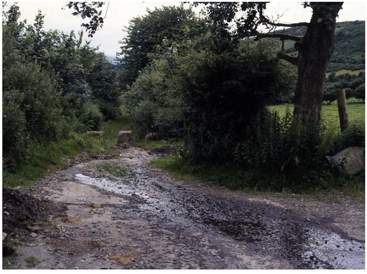 Border Crossing