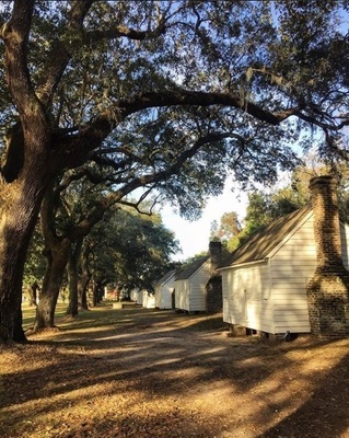 McLeod Plantation