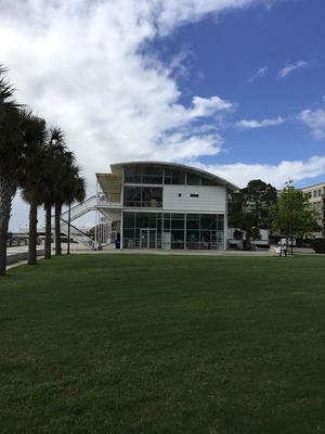 International African American Museum