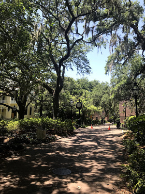 College of Charleston Campus