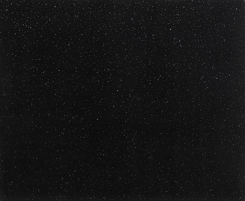 Vija Celmins 491