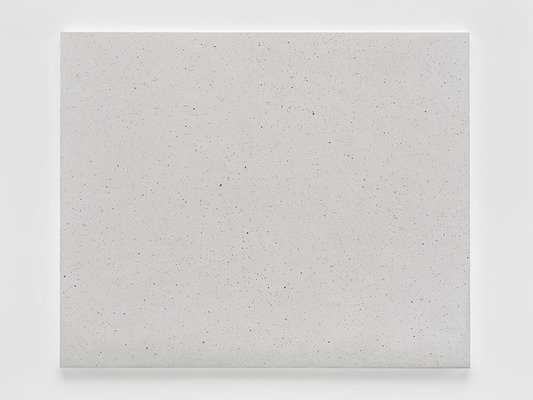 Vija Celmins 497