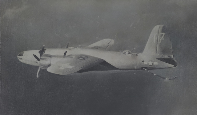 Vija Celmins 484
