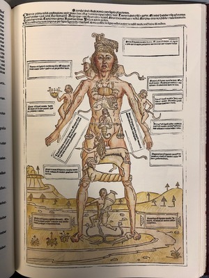 Zodiac Man from Fasciculo medicinae, 1491