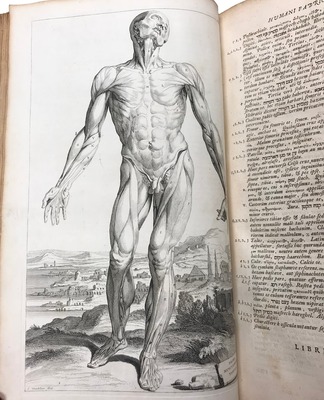 Opera Omnia Anatomica et Chirurgica, De Humani Corporis Fabrica, 1725