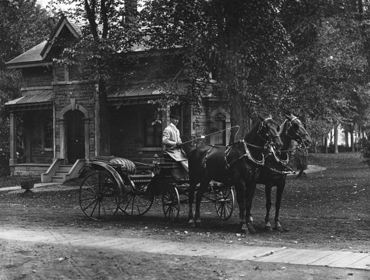 Mrs. Paul’s horses and carriage