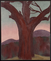 Autumn Trees—The Chestnut Tree—Red, 1924 (Spanish)