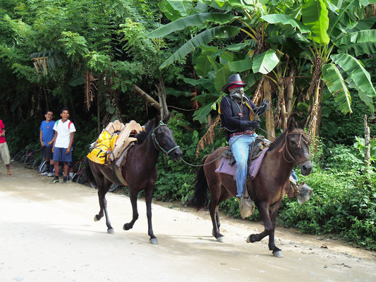 Bibliobandido around the World 