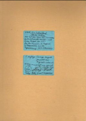 Ein Lebenslauf von 61 Jahren: Eine Bastelnovelle