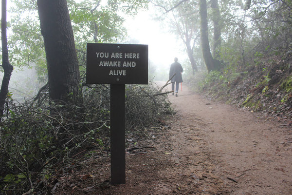 A Healing Walk