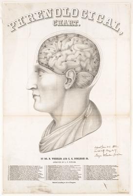 Thayer phrenological chart, c. 1862