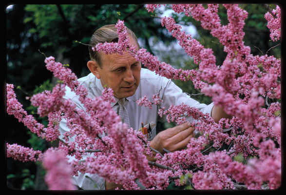 In Memoriam: Irvin Williams 