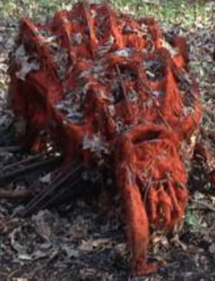 RIT Nature Trail Spider Sculpture