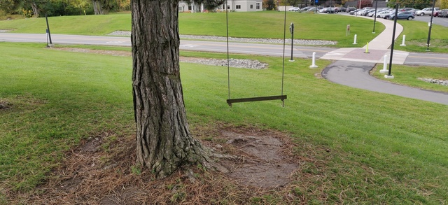 Riverknoll Rope Swing