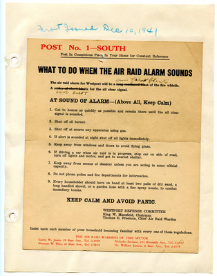 28. Air Raid What to Do