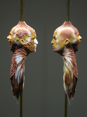 paired, mirrored, flayed