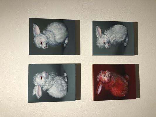 Addiction Bunnies: II, V, VI, IV