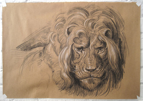 Lion Study for Border Crossing