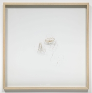 Wedding Ring Drawing (Circumference of a living room)