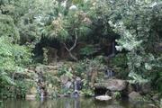 Austin Memorial Waterfall and Koi Feeding Area