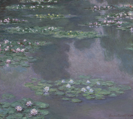 DONE 249    Water Lilies