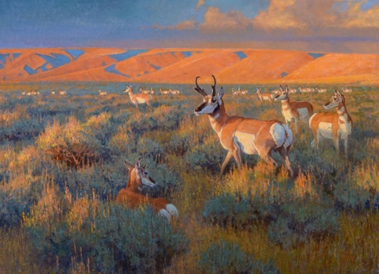 Prairie Sundown