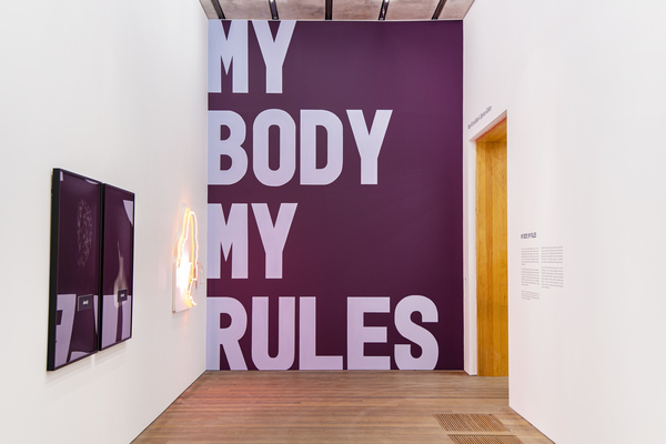 My Body My Rules Wall Text Info