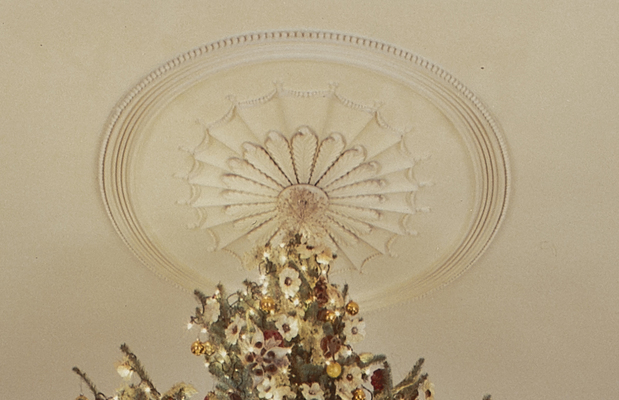 Plaster Ceiling