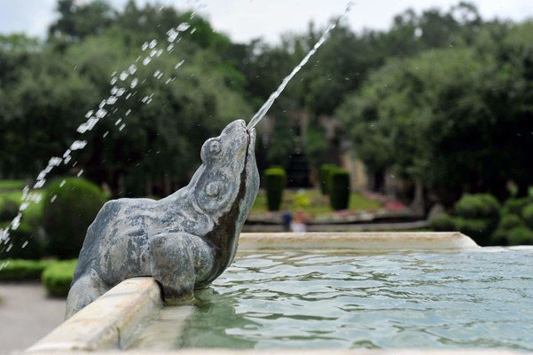 Frog Fountain