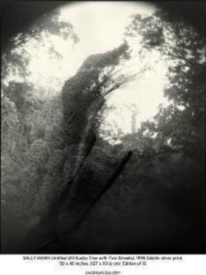 Deep South, Untitled (Tree with Two Streaks) (2)