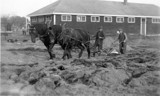 Construction of the Tufts Golf Course