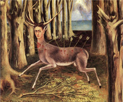 The Wounded Deer