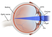 Built for Sight Eye Diagram