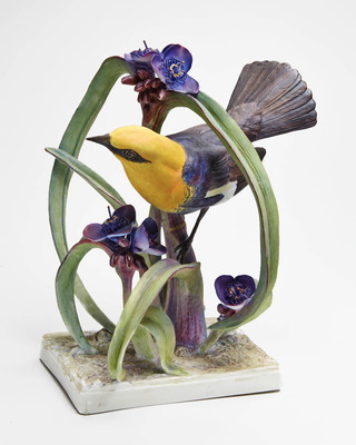 Yellow-headed blackbird cock