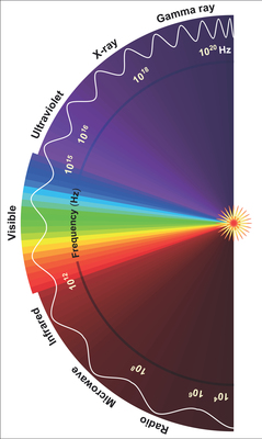 Cones & Color Vision