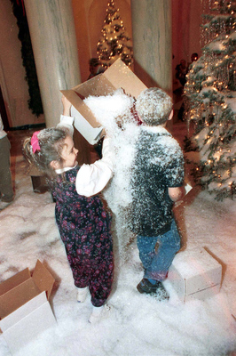 A Snowball Fight 