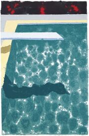 Green Pool with Diving Board and Shadow