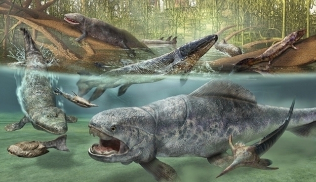 About the Devonian Period