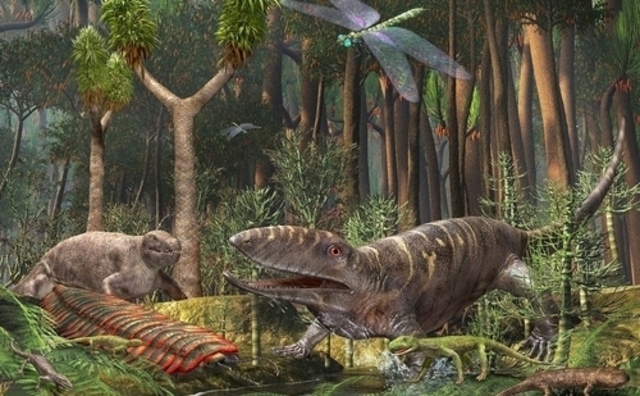About the Carboniferous Period