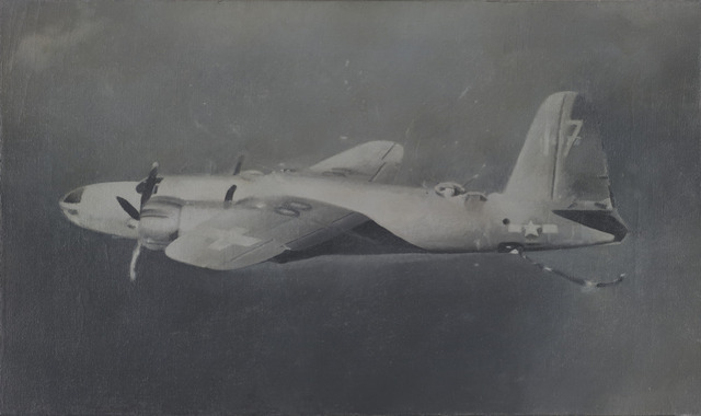 Vija Celmins 350