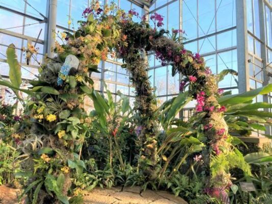 Orchid Arches