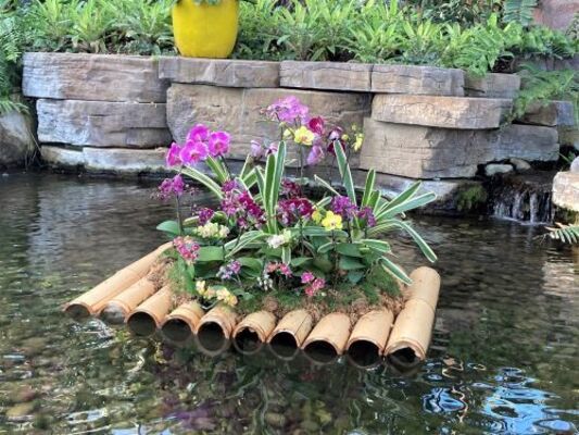 Bamboo Planters