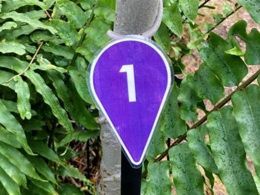 PURPLE Location Signs