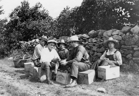 Ile Bizard's farmland