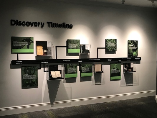 9. Discovery Timeline